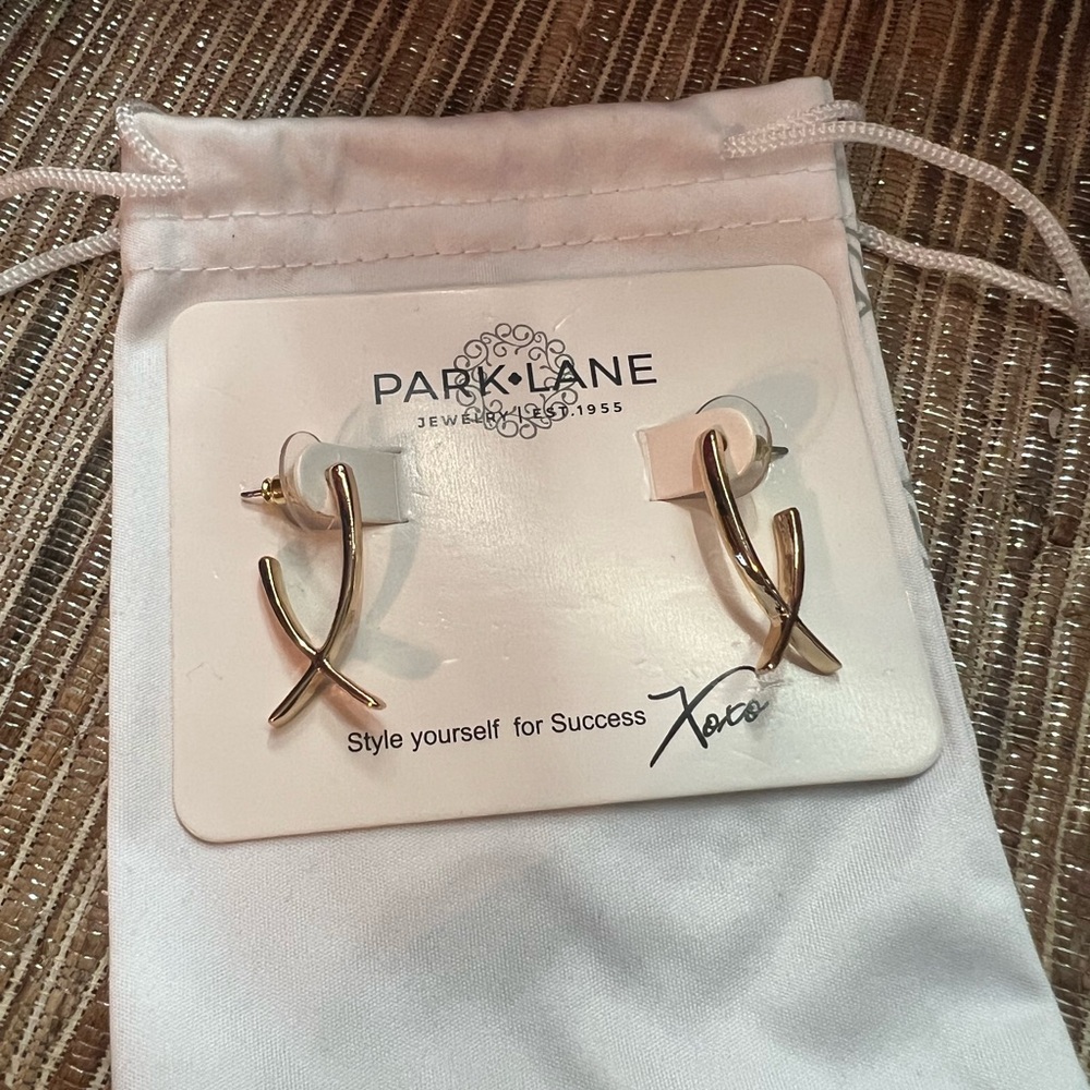 ☘️Park Lane Wishbone Earrings
